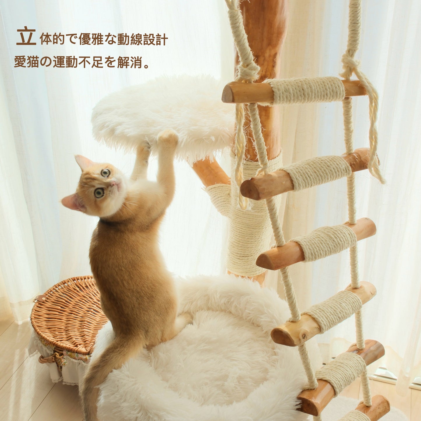【雲にのる】天空の階段キャットタワー（翌営業日発送可能）