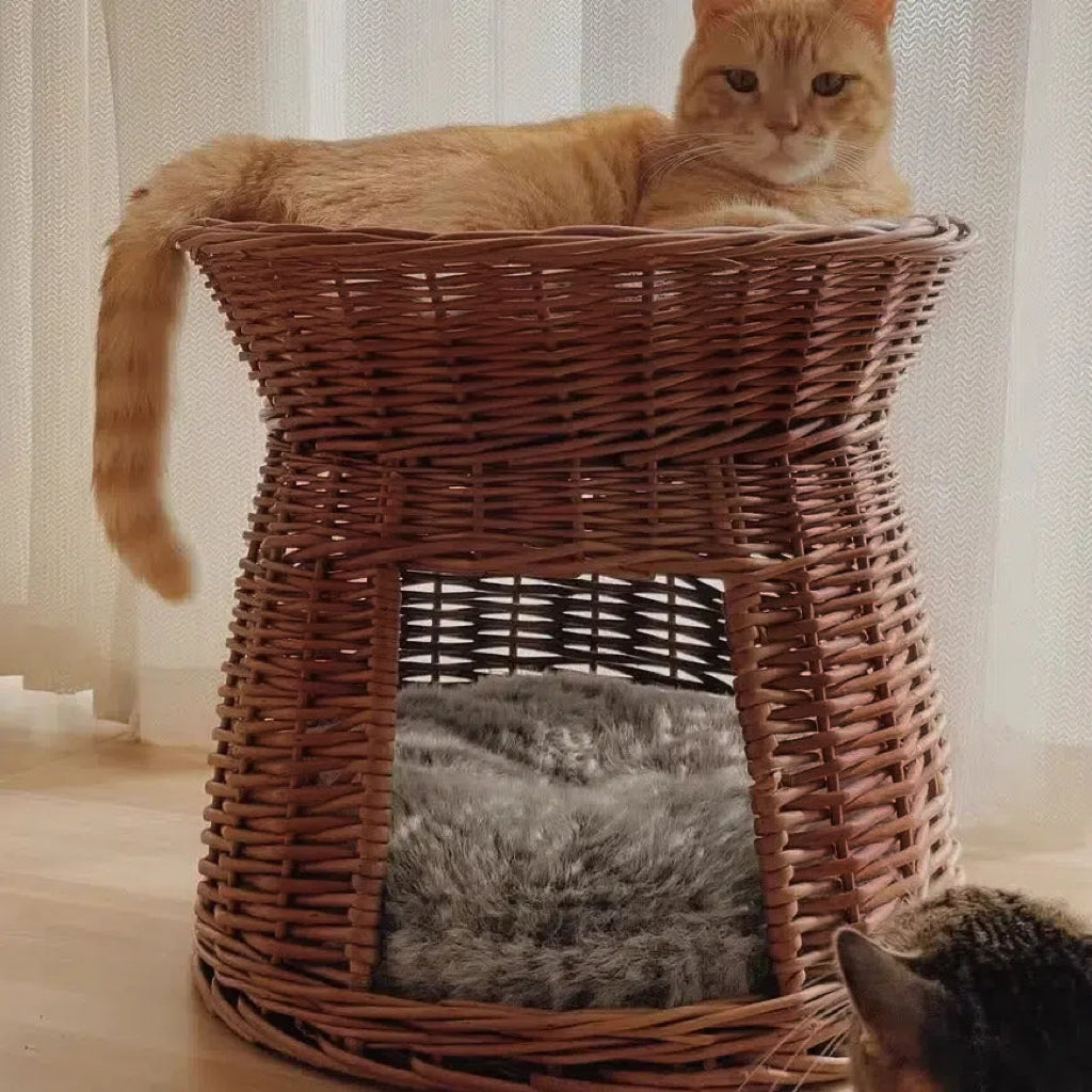 手編み猫用2段ラタンベッド 天然籐 猫多頭飼い ダブルベッド – MyUnipet