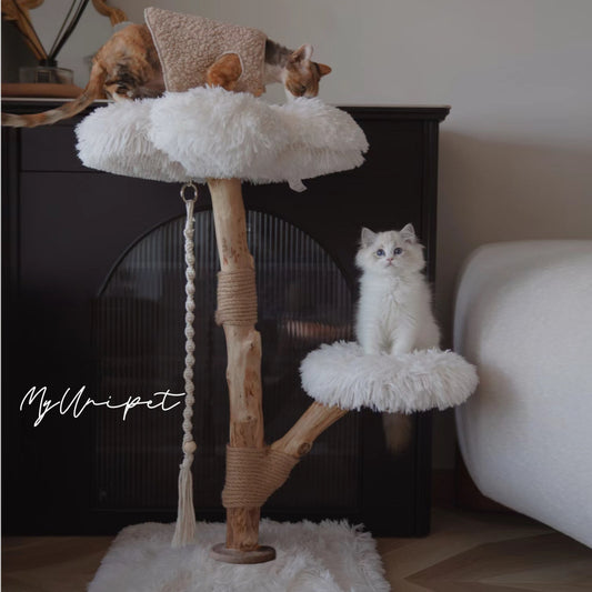 【雲にのる】無垢材キャットタワー　北欧風 木製 天然木 猫用インテリア　ペット家具（5月中旬順次発送）