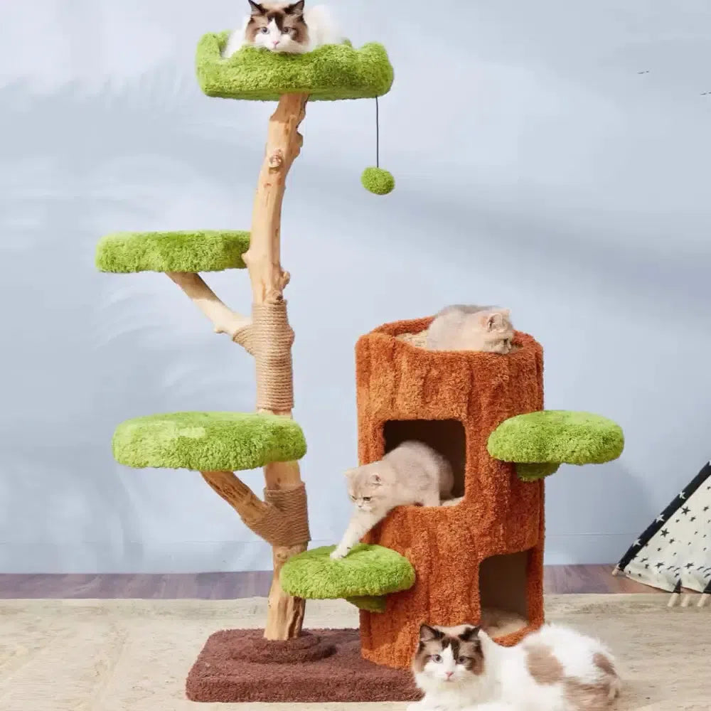 木にのる】天然無垢材キャットタワー|ベッド一体型・多頭飼い・省 木にのる】天然無垢材キャットタワー|ベッド一体型・多頭飼い・省