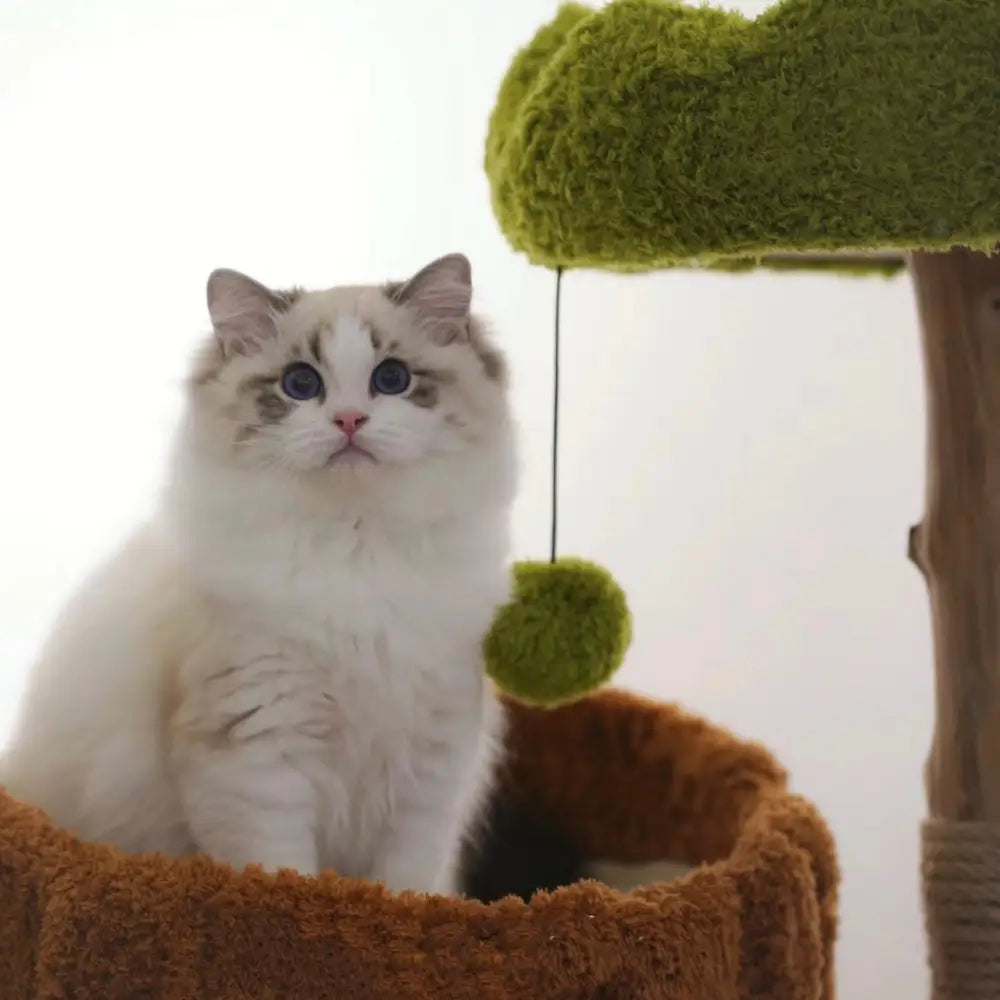 木にのる】ベッド付き無垢材キャットタワー 天然木 北欧風 多猫世帯 木にのる】ベッド付き無垢材キャットタワー 天然木 北欧風 多猫世帯