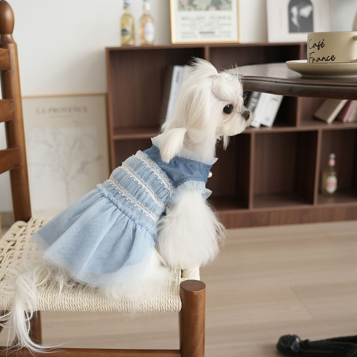 ブルーデニム×チュールの小型犬ドレス｜おしゃれな犬用パーティー服 犬用ワンピース・5サイズ