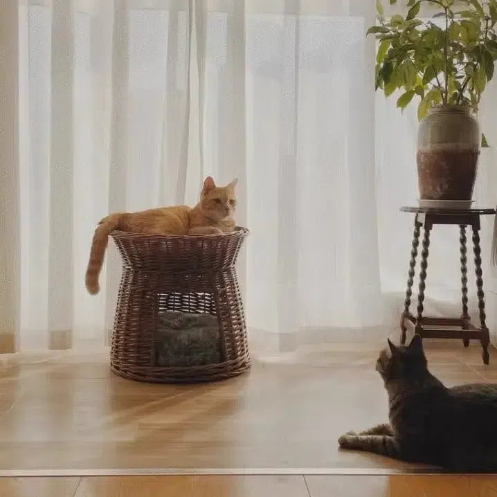 手編み猫用2段ラタンベッド 天然籐 猫多頭飼い ダブルベッド – MyUnipet 手編み猫用2段ラタンベッド 天然籐 猫多頭飼い ダブルベッド – MyUnipet