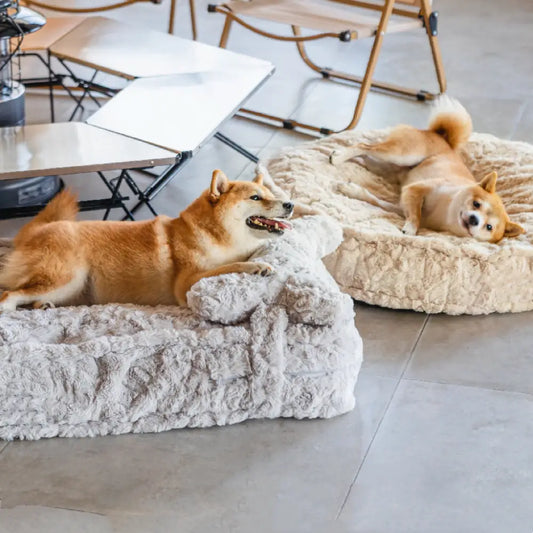 「雲の中で寝る」ペットベッド 枕付き犬用ベッド・猫用ベッド