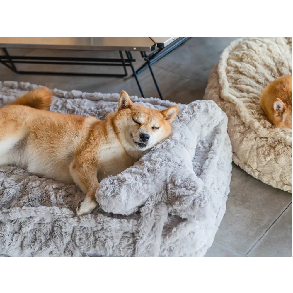 雲の中で寝る」ペットベッド 枕付き犬用ベッド・猫用ベッド - MyUnipet