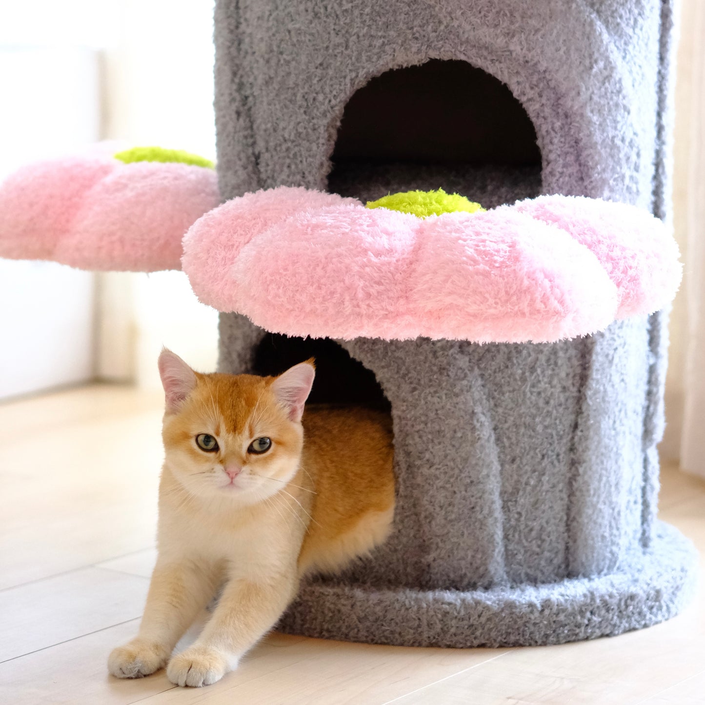 Sakura Bloom Cat Tower 桜シーズン限定モデル 高級キャットタワー(翌営業日発送可能）