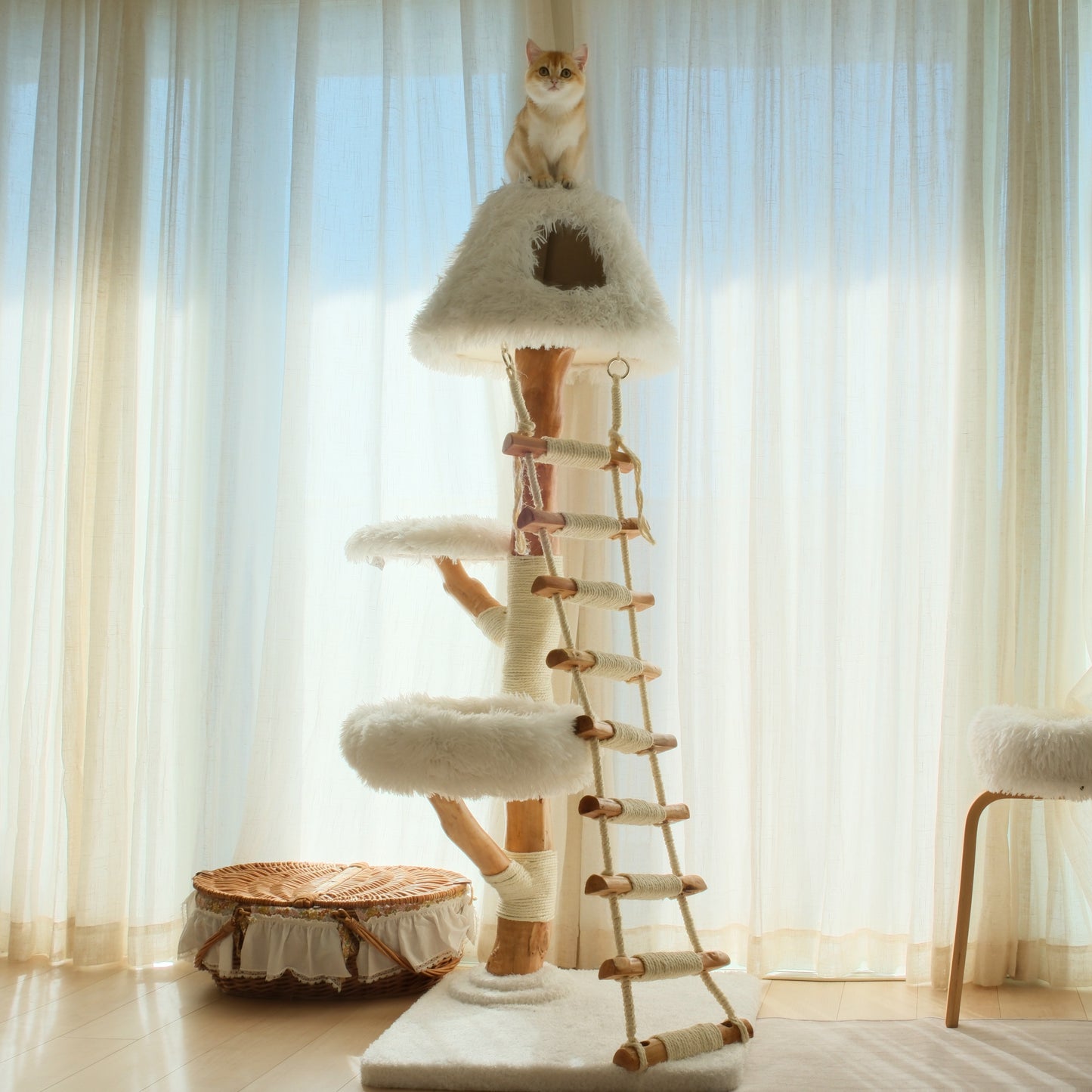 【雲にのる】天空の階段キャットタワー（翌営業日発送可能）