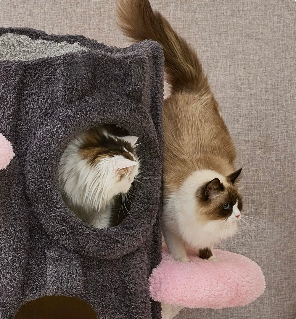 通天タワーの樹洞ハウスでくつろぐ複数の猫｜多頭飼いに対応した木製キャットタワーの上下動線