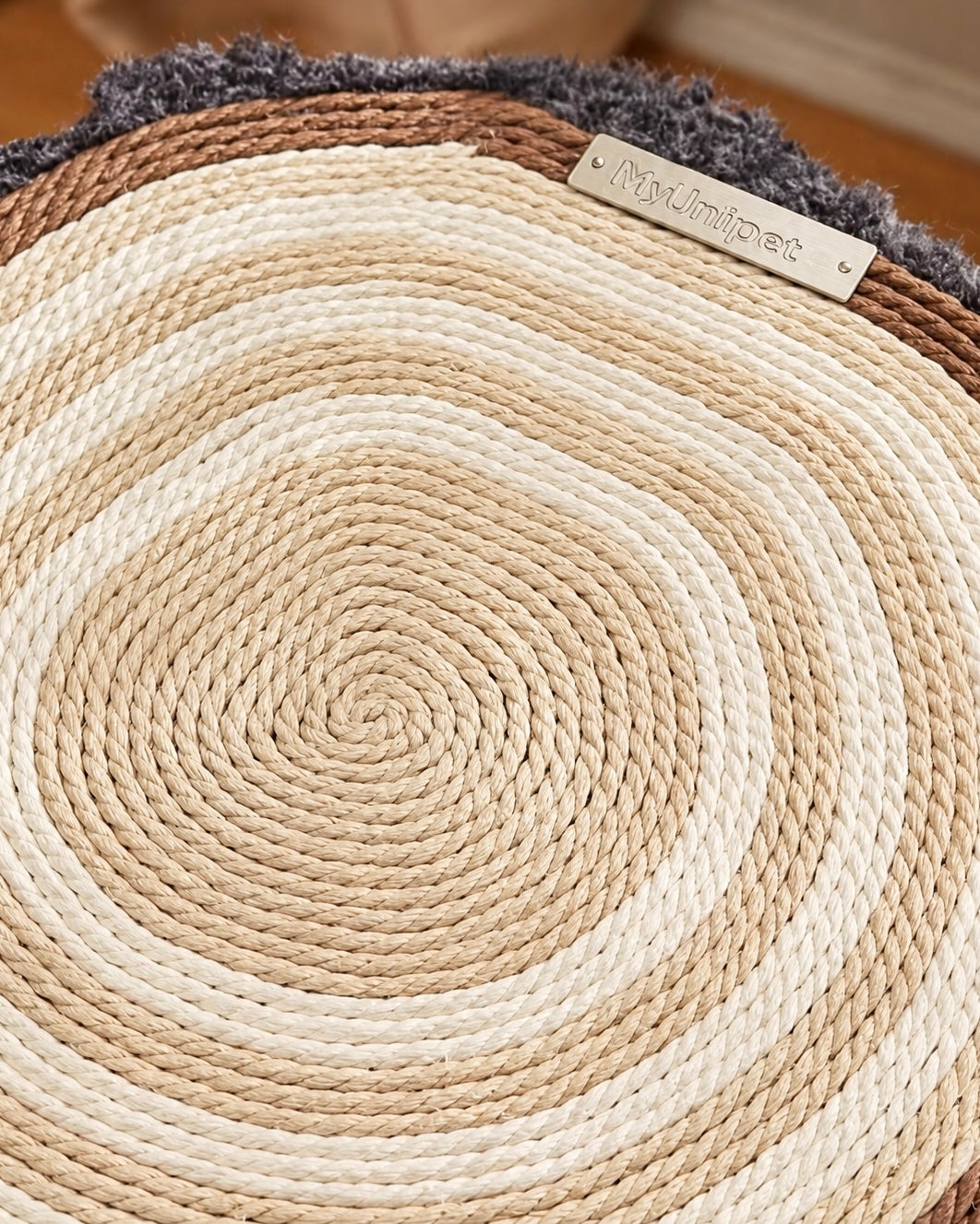 こもれびの切り株