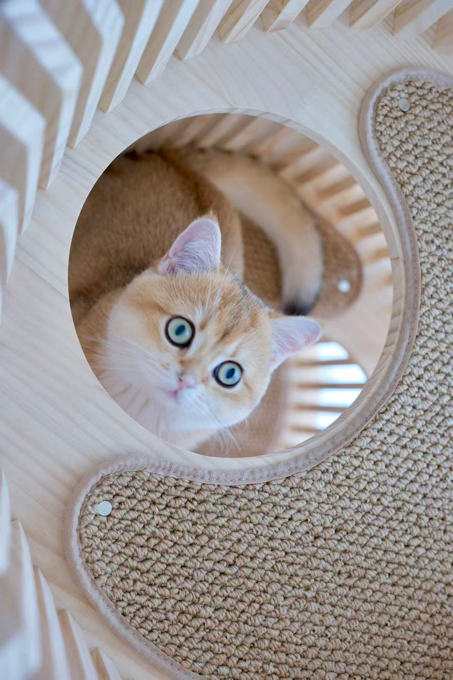 上からの眺め