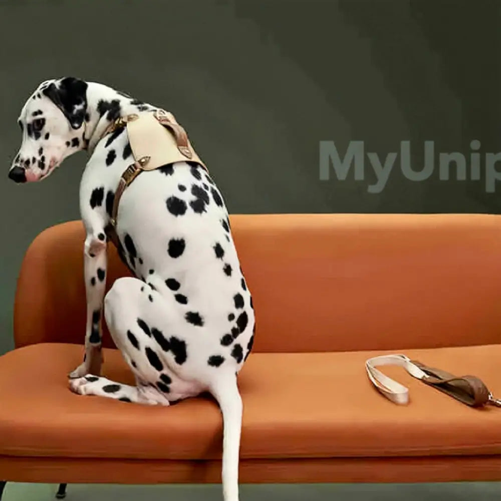 MyUnipet犬用ハーネス