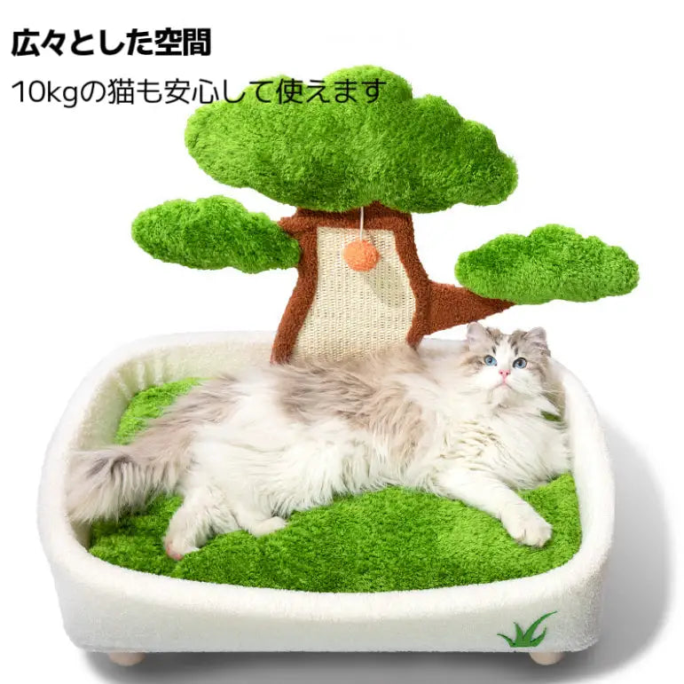 myunipet猫用ベッド