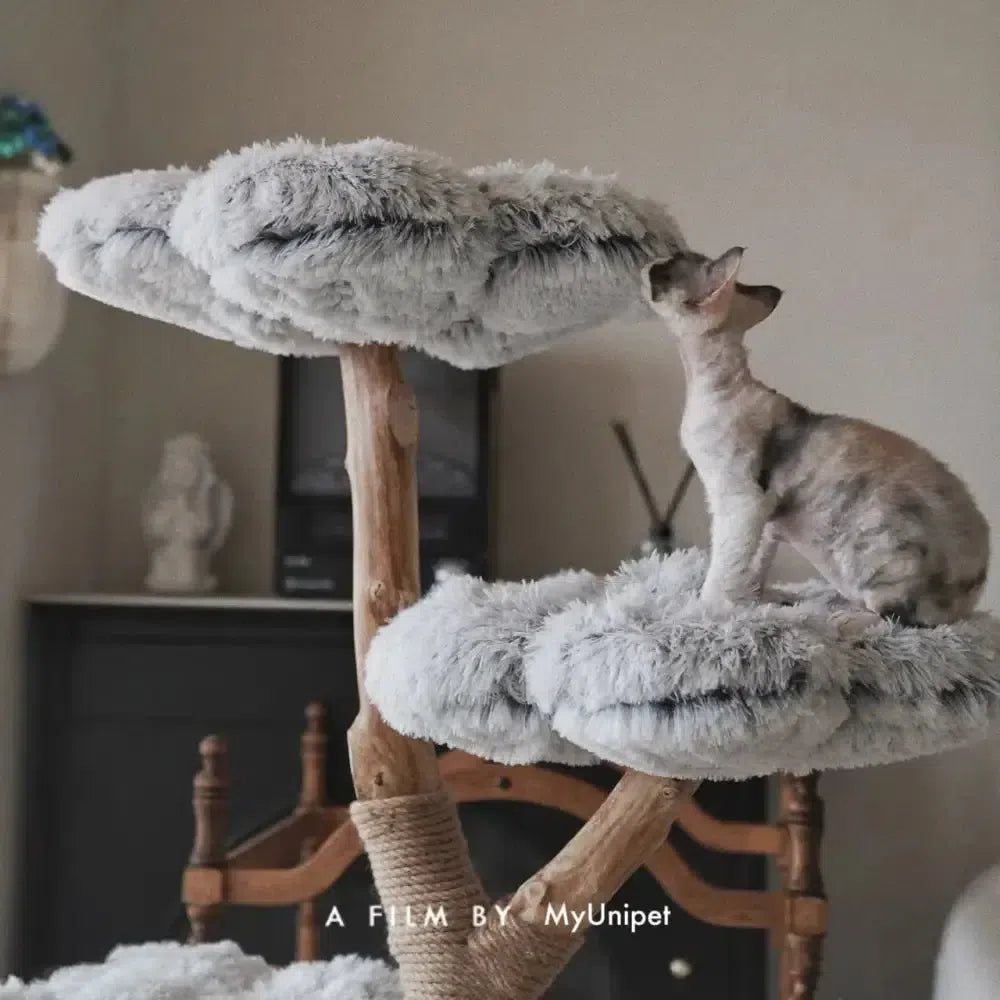 【MYUNIPET】時の流れ キャットタワー グレー 時の流れ】北欧風キャットタワー おしゃれ キャット タワー