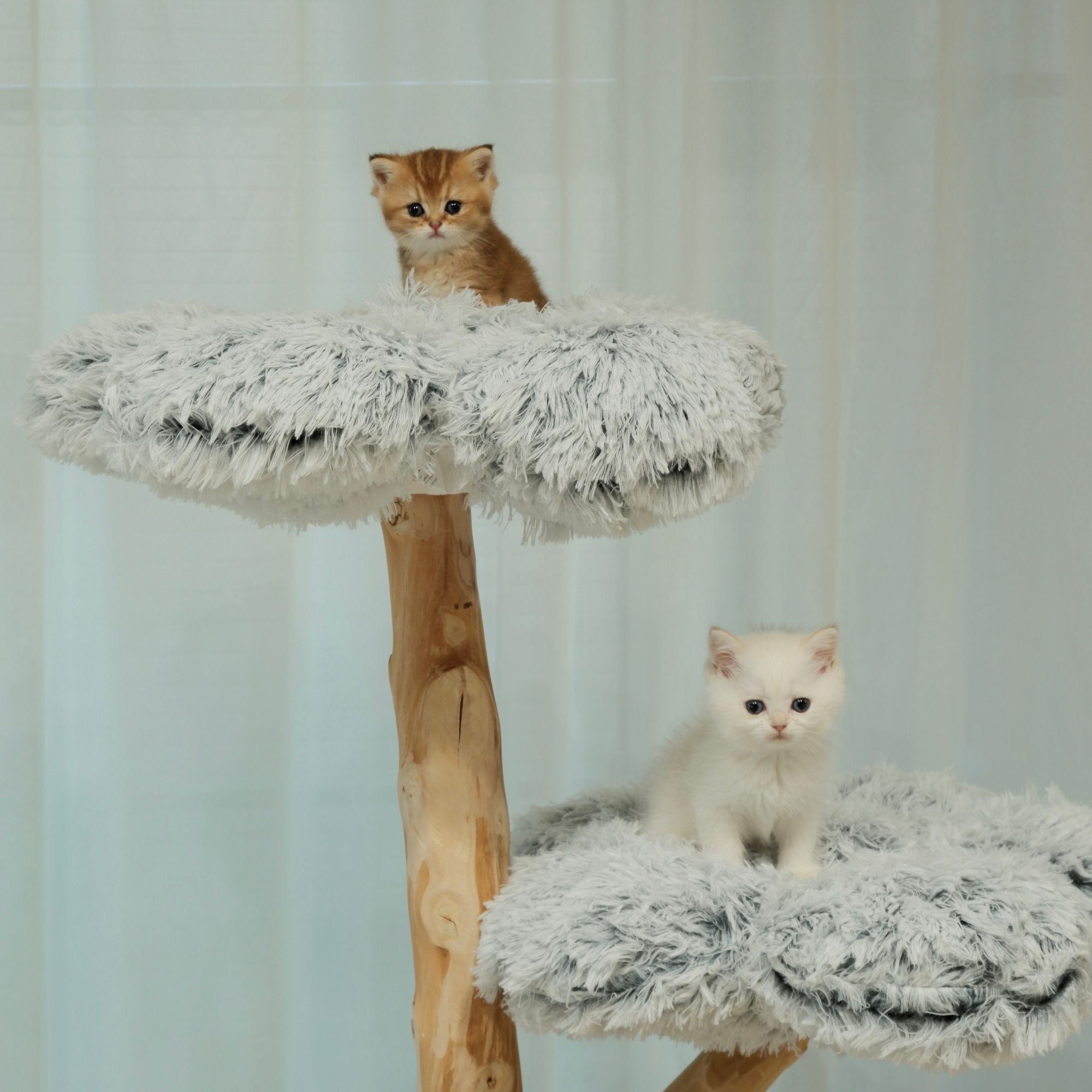 雲にのる】 3段無垢材天然木キャットタワー （翌営業日発送可能