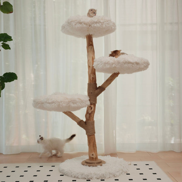 雲にのる】 3段無垢材天然木キャットタワー （翌営業日発送可能
