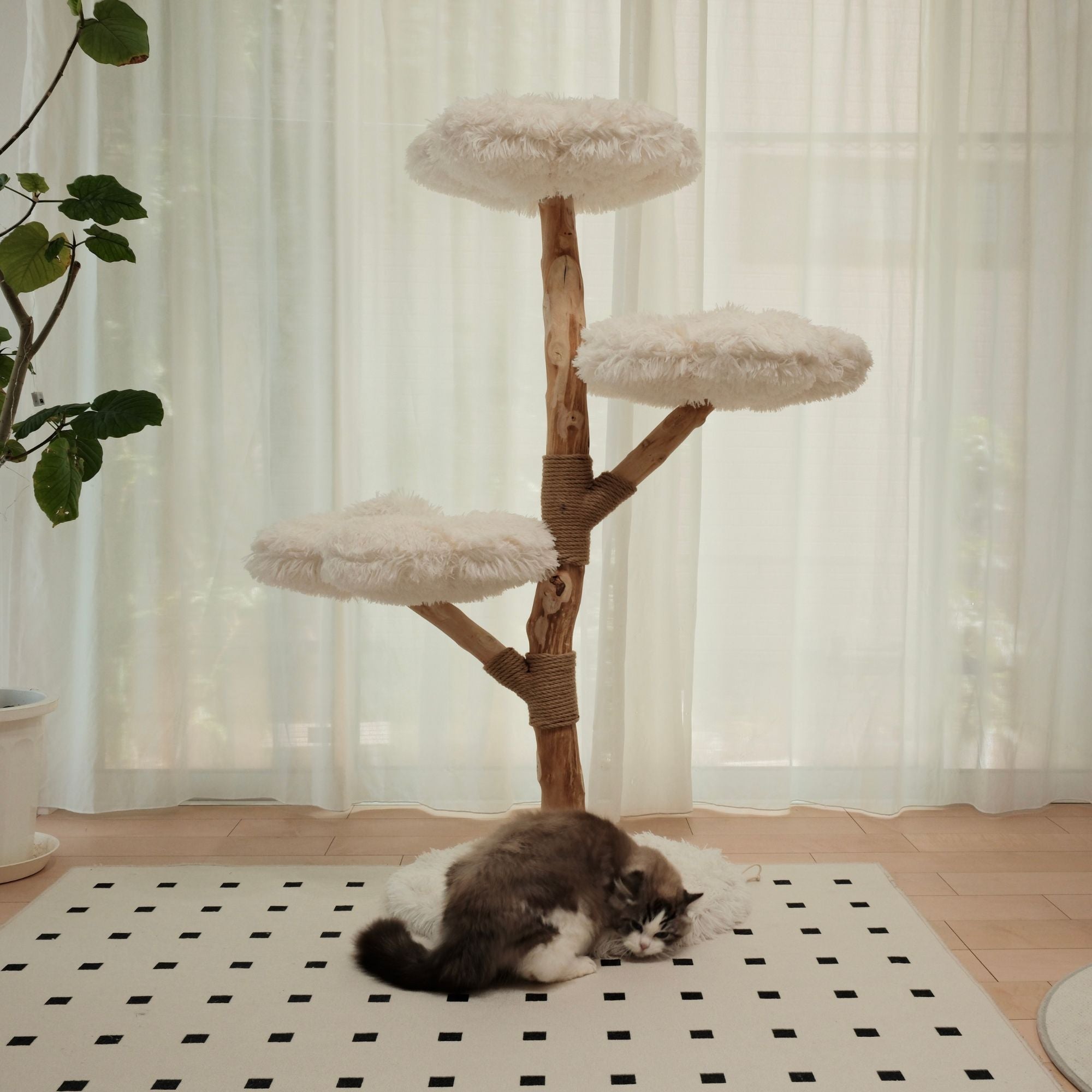 雲にのる】 3段無垢材天然木キャットタワー （翌営業日発送可能