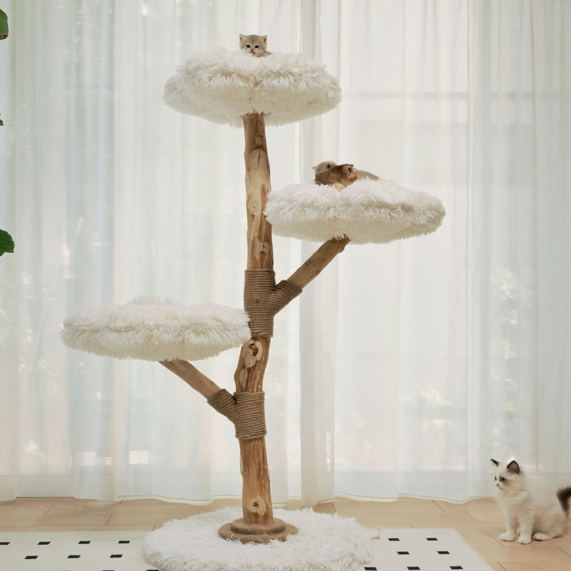 Myunipet無垢材天然木キャットタワー 現状発送　引き取りの場合43000円 雲にのる】 3段無垢材天然木キャットタワー （翌営業日発送可能