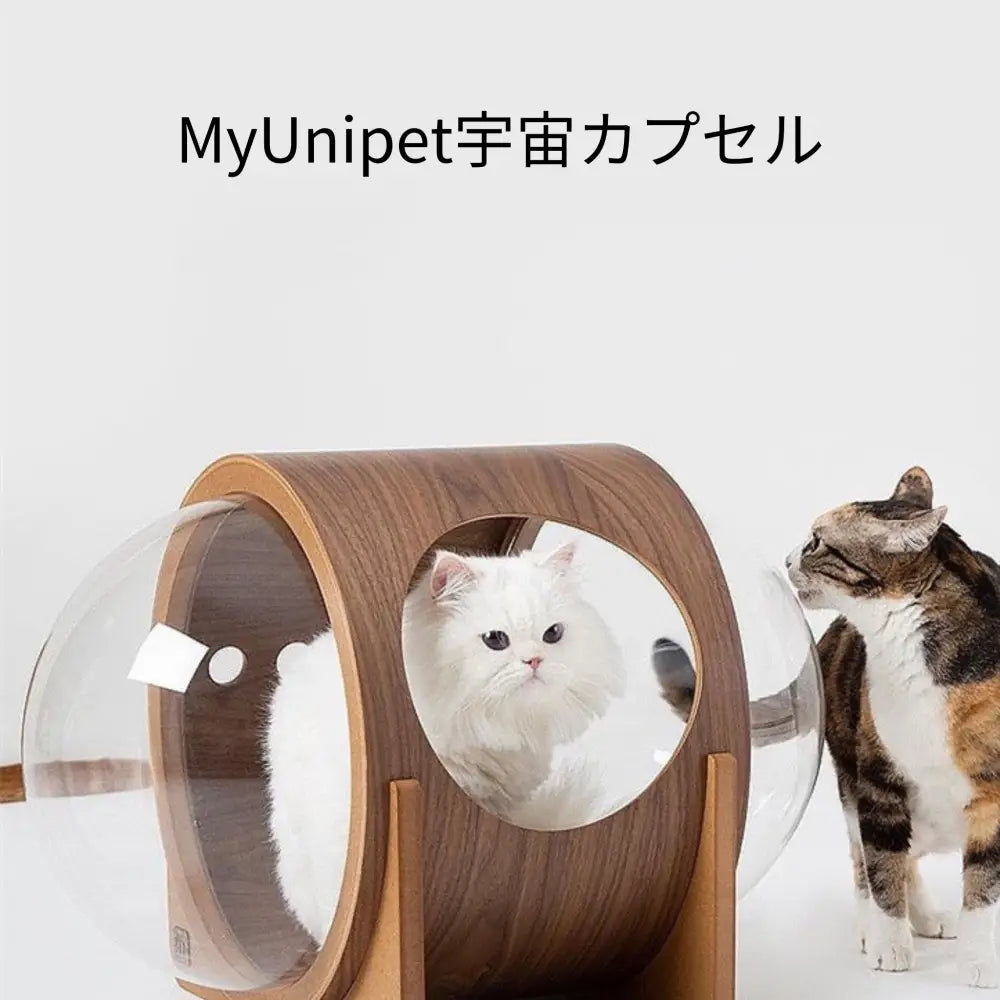 myunipet宇宙船