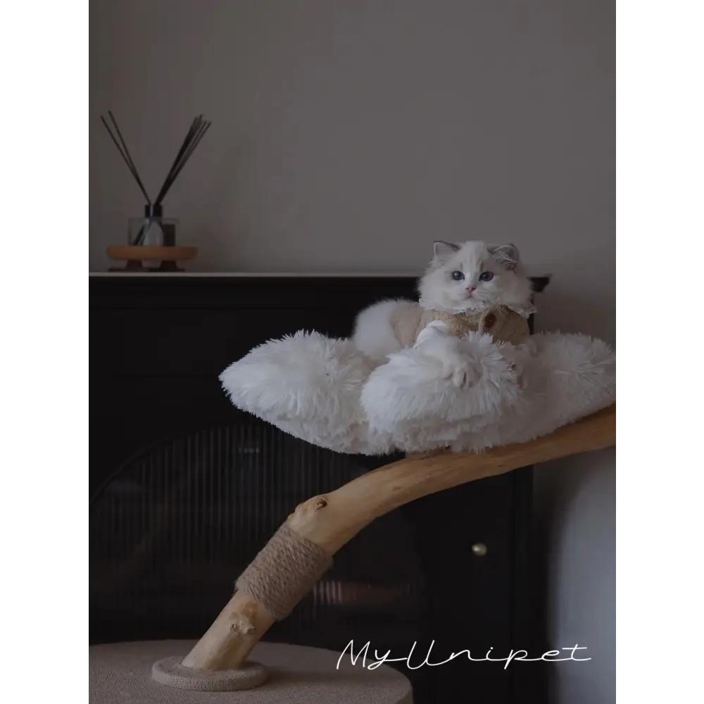 【雲にのる】無垢材キャットタワー北欧風 木製 天然木 ペット家具 猫ベッド（3月下旬納品可能）