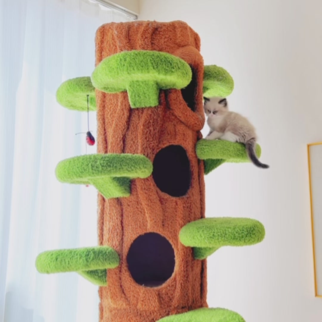 ☆猫の園☆ 天然木材 キャットタワー 多頭飼い 展望台 ハンモック 組立