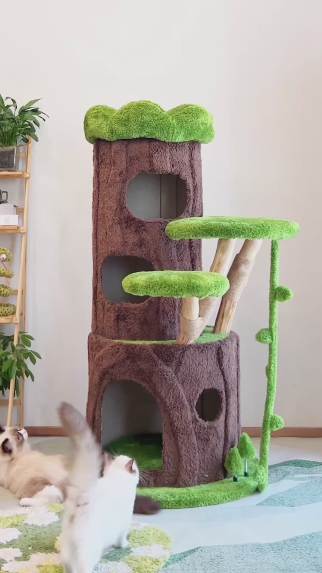MyUnipet】森に住まう：揺るがない苔むす古木の隠れ家