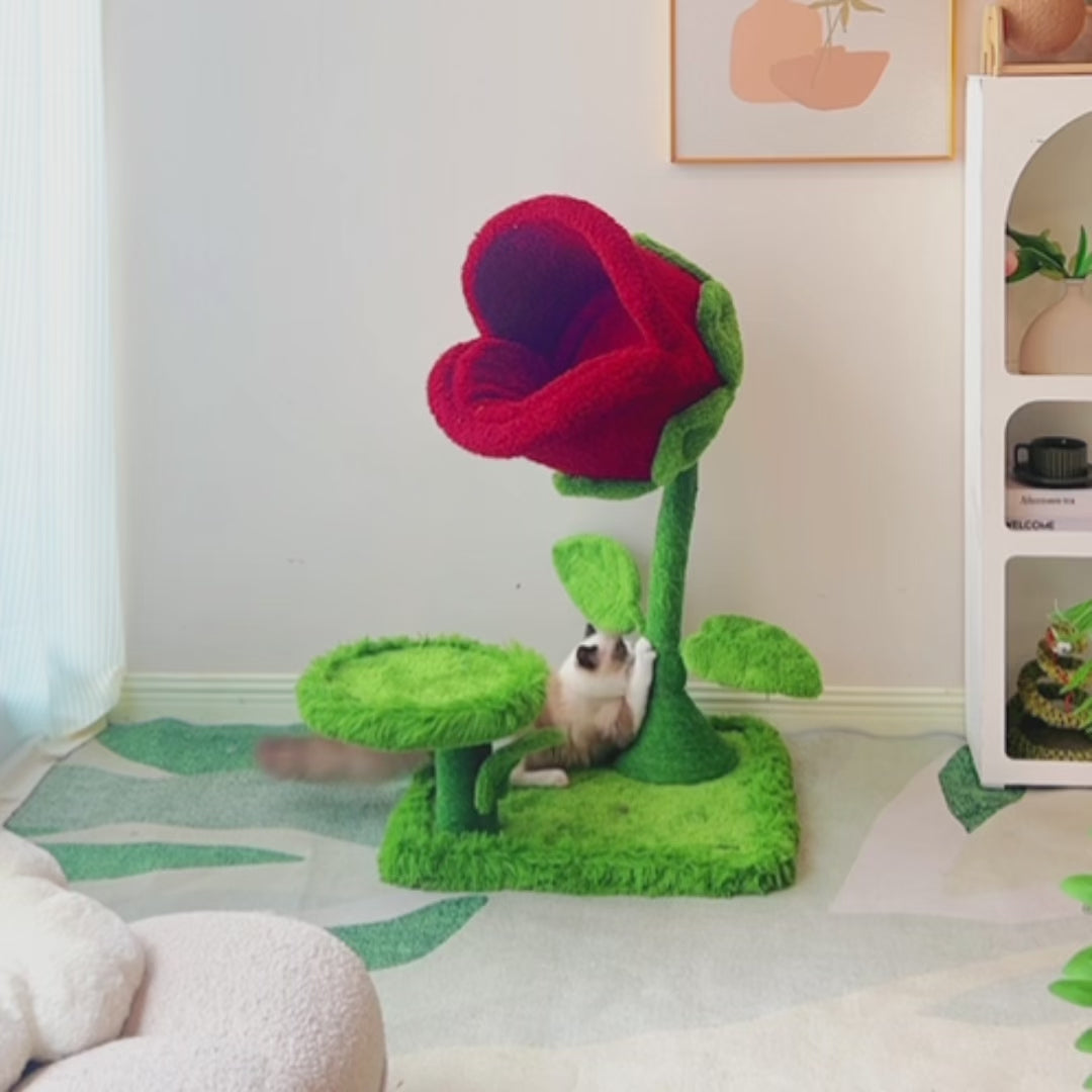 MYUNIPET 星降る夜 薔薇キャットタワー 星降る夜】薔薇キャットタワー｜猫タワー おしゃれ 安定感抜群（翌営業